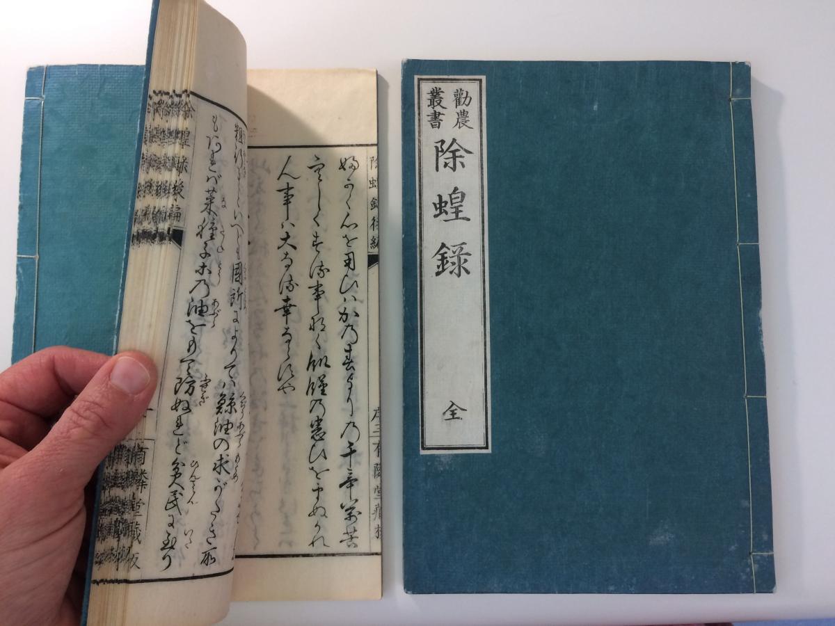 traditional Japanese fukurotoji binding
