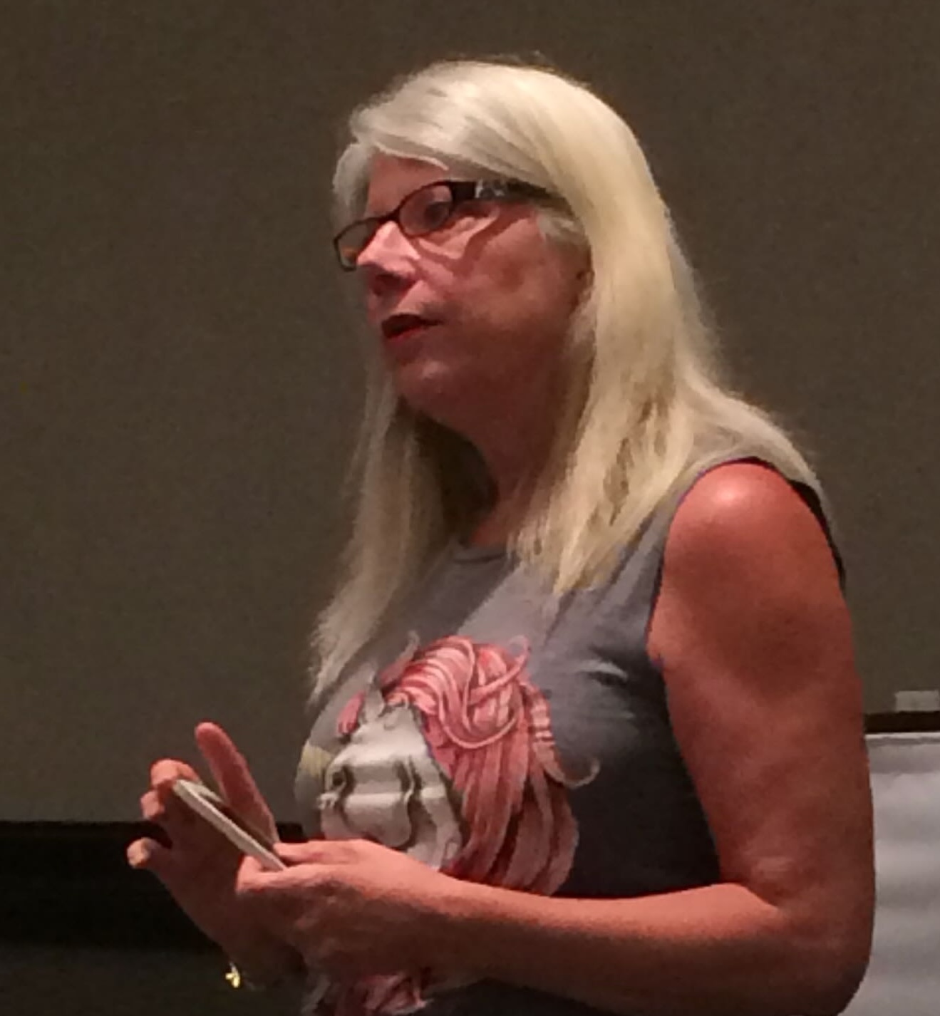 Bo Laurent speaking at a conference